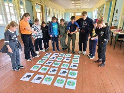 �����������